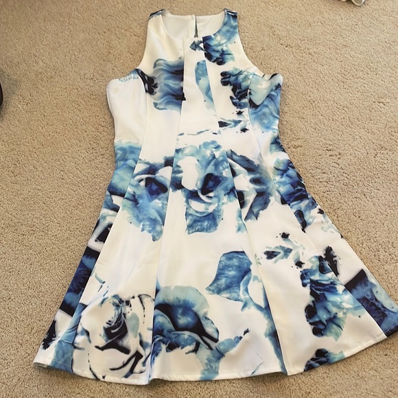 LuLu’s Floral Skater Dress - Picture 3 of 5